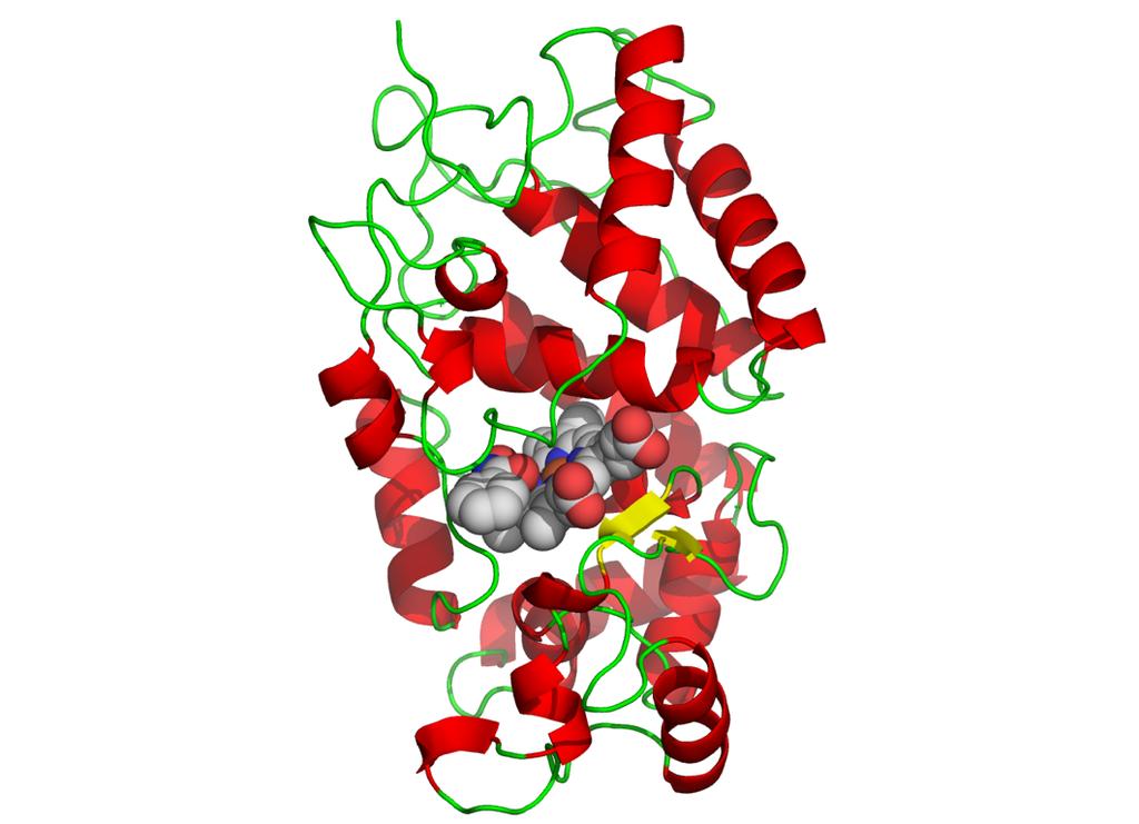 16 Enzymes used for analytical purposes: Horseradish peroxidase catalyzes the oxidation of a wide variety of substrates H 2 2 + 2 H + + 2 e - substance X (reduced) heme X 2 H 2 substance X (oxidized)
