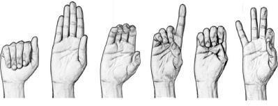 Figure 1: Examples of sign languages generated by hands Fig.
