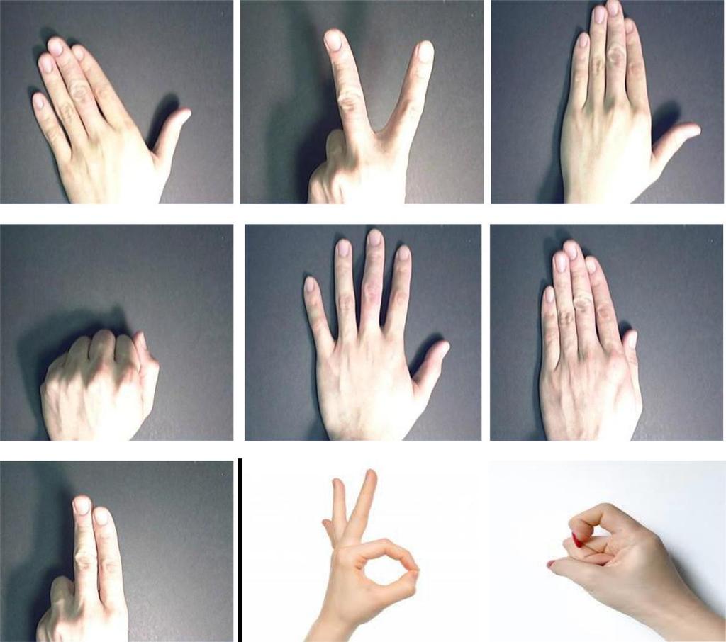 Figure 9: Test hand sign language images IV.