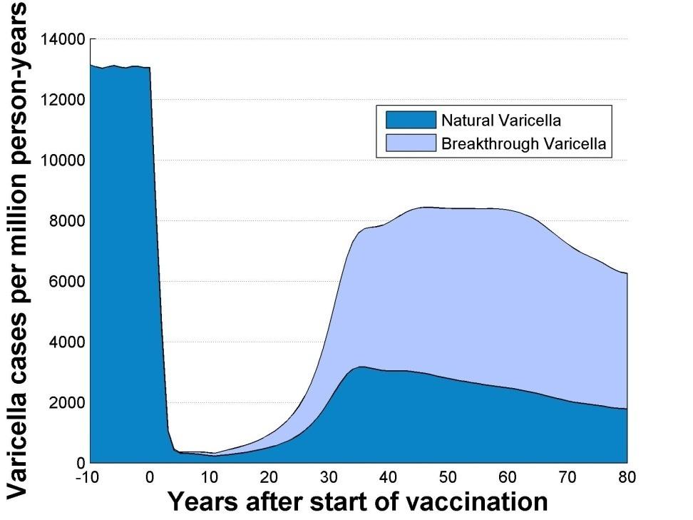 Varicella cases at high coverage (90%) At equilibrium, VE (vaccine effectiveness) is 66% for one dose