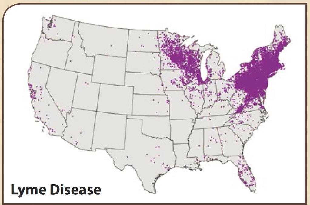 Lyme Disease Cases