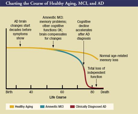 MCI: A working definition MCI patients are neither demented nor normal, but are at high risk of progressing to dementia in the future when compared to agematched cognitively normal individuals.