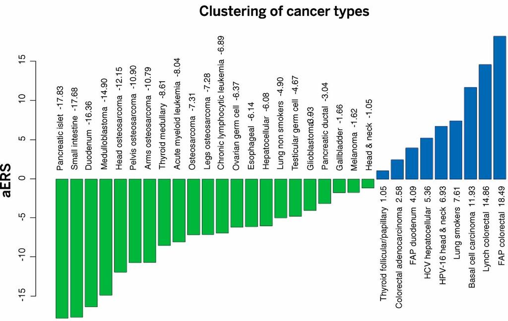 Variation in cancer risk among tissues can be explained by the number of