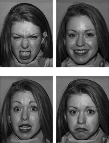 SPECIAL SECTION: FACIAL EMOTION PROCESSING 21 A P1 P400 Never Institutionalized Group Institutionalized Group N170 B Angry Happy Fearful Sad P250 Figure 2. emotions.