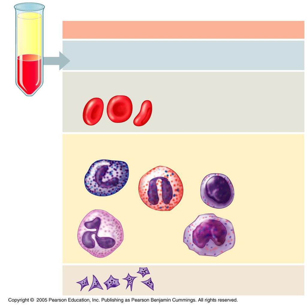 LE 23-13b Cellular elements (45%) Cell type Number per L (mm 3 ) of blood Functions Centrifuged blood sample Erythrocytes (red blood cells) 5 6 million Transport of oxygen