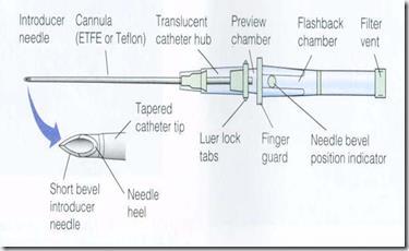 Parts of the IV