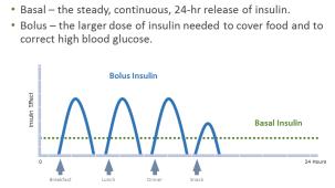 dinner Case Insulin Pumps Insulin pumps approved to utilize short-acting insulin analogues o