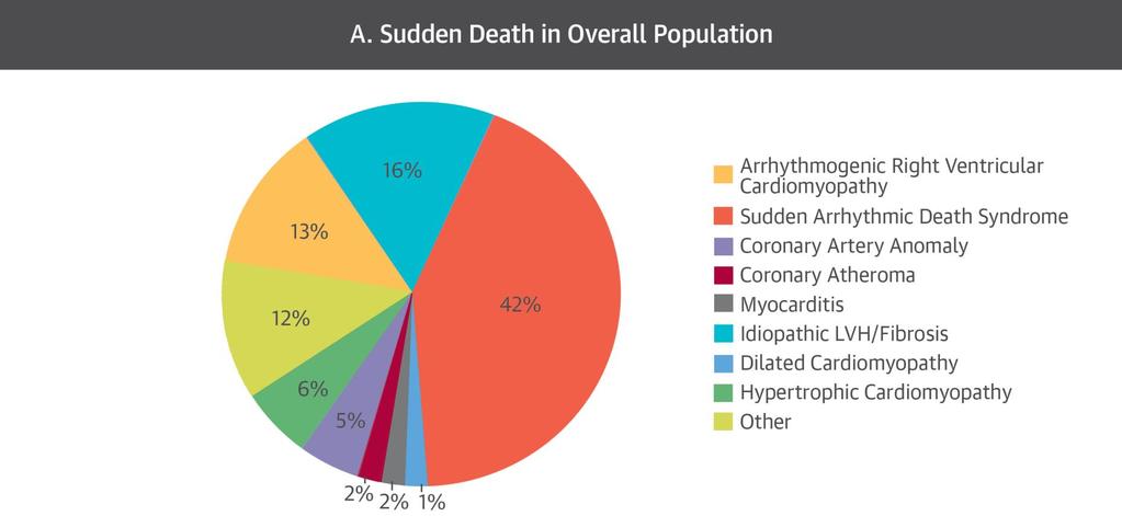 Causes of Sudden Cardiac Death in Sport 357 consecutive athletes.