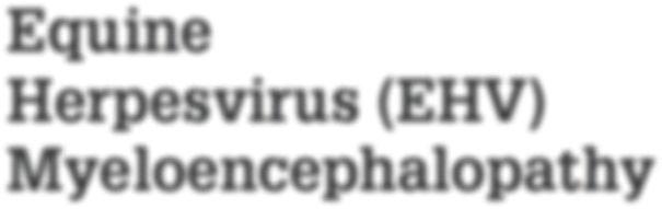 Equine Herpesvirus (EHV)