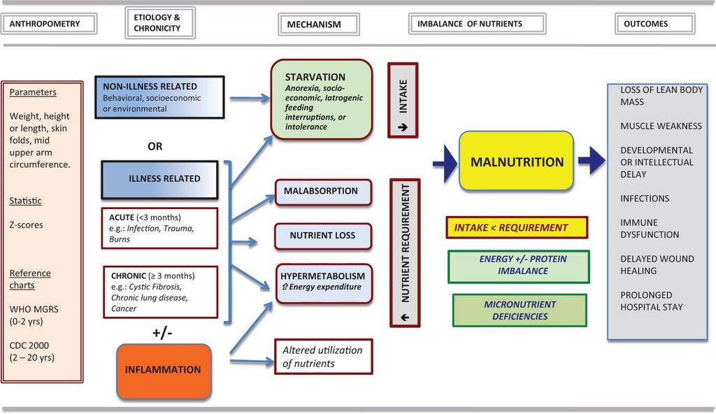 Practical Scheme for Pediatric Malnutrition Definition. Mehta N M et al.
