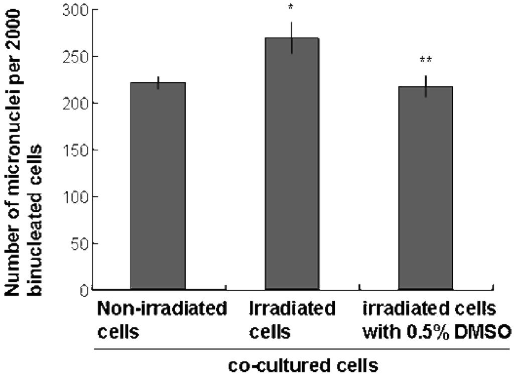 330 G. Kashino et al. RESULTS As shown in Fig. 1, micronuclei inductions were observed after 0.2 and 1.0 Gy - irradiation in CHO and xrs5 cells, respectively.