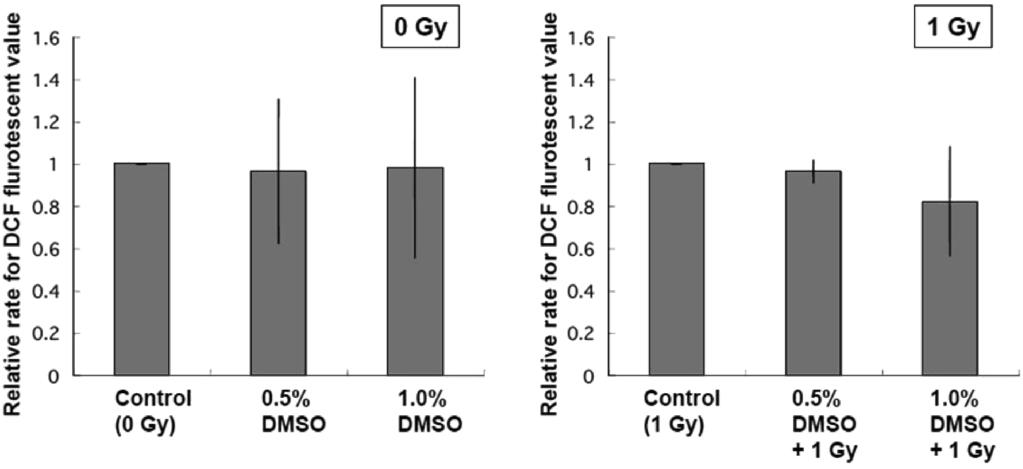 In the case of CHO, about 20% of micronuclei induction was suppressed by 0.5% or 1% DMSO treatment, whereas no suppressive effects were observed in xrs5 cells. When xrs5 cells were irradiated with 0.