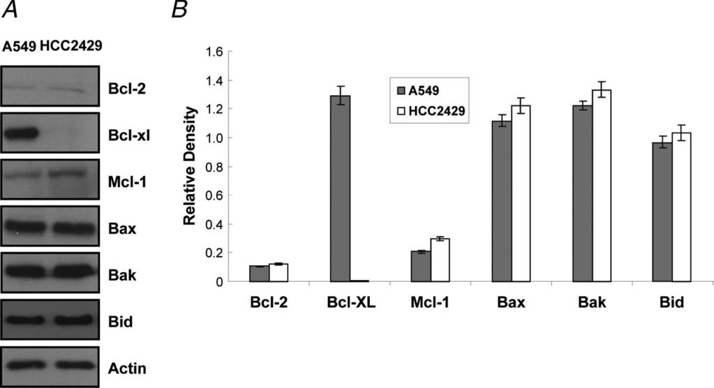 As shown in Figure 3A, the expression of activated caspase-3 was not detected in A549 lung cancer cell line even at late time points, such as 72 hours.