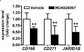 Targeting Agents RO4929097 27 Huynh et al.