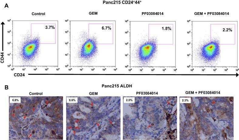 Targeting Agents PF-03084014 33 Yabuuchi et al. transplanted pancreatic cancer cells into immunocompromised mice In their 7 patient samples the percent CSCs varied greatly: 0.64-16.