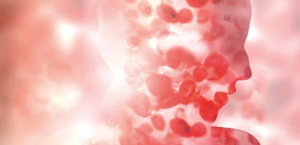 HAEMATOLOGY FEBRUARY 217 WHITE PAPER IMMATURE PLATELETS CLINICAL USE Identifying poor antiplatelet drug response and its risks early on Platelets are important cells for repairing endothelial