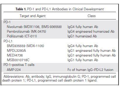 PD-1 and PD-L1 Ab in