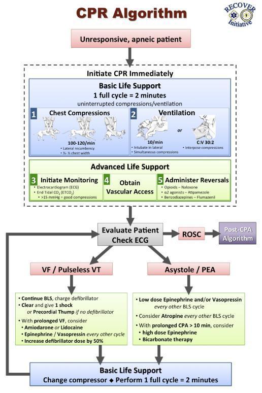 Figure 3: CPR Algorithm Chart Figure 4: CPR