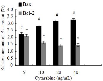 Fig. 4: Effect of the combination treatment of Rg3 and cytarabine on expression of apoptosis regulatory proteins; Note: compared with cytarabine group: *: Bcl-2 protein, p<0.05; #: Bax protein, p<0.