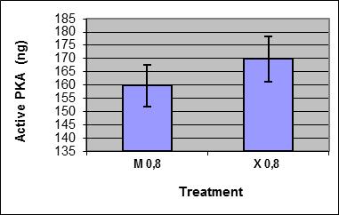 Fig 7 shows that the density of ER protein in the control group was similar to cells treated with mangostin 0.4 µg/ml. ER protein band in cells treated with mangostin 0.