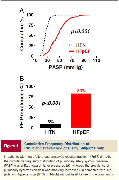 Pulmonary Hypertension and HFpEF Lam