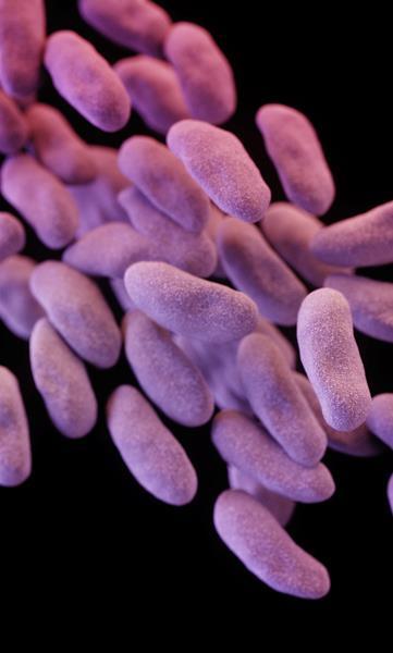 Carbapenem-resistant Enterobacteriaceae (CRE) Multidrug-resistant organisms, including CRE, pose a significant public health threat Most common type of CRE is resistant to almost ALL antibiotics New