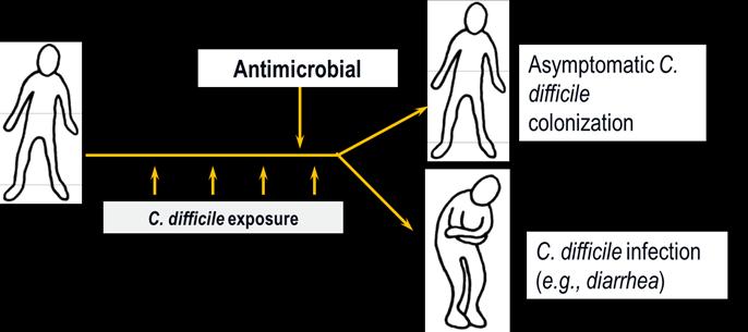 Clostridium difficile infection (CDI) Anaerobic bacterium Not normal intestinal