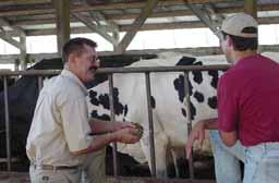 People often focus on just the reproductive part of a program at one point in time, such as synchronizing cows, says Pedro Melendez, DVM, PhD, College of Veterinary Medicine, University of Florida.