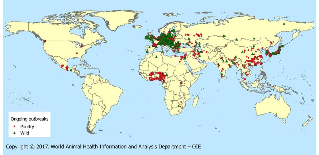 HPAI outbreaks 2016/2017 05/09/2017 OIE Global Situation