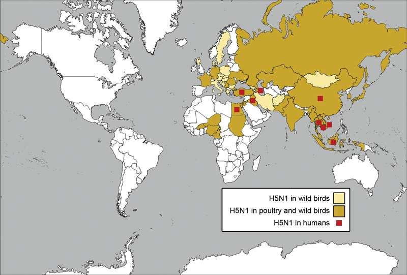 H5N1 epidemic-a disease of global H5N1 has become endemic in poultry in several parts of the world It is capable of infecting a