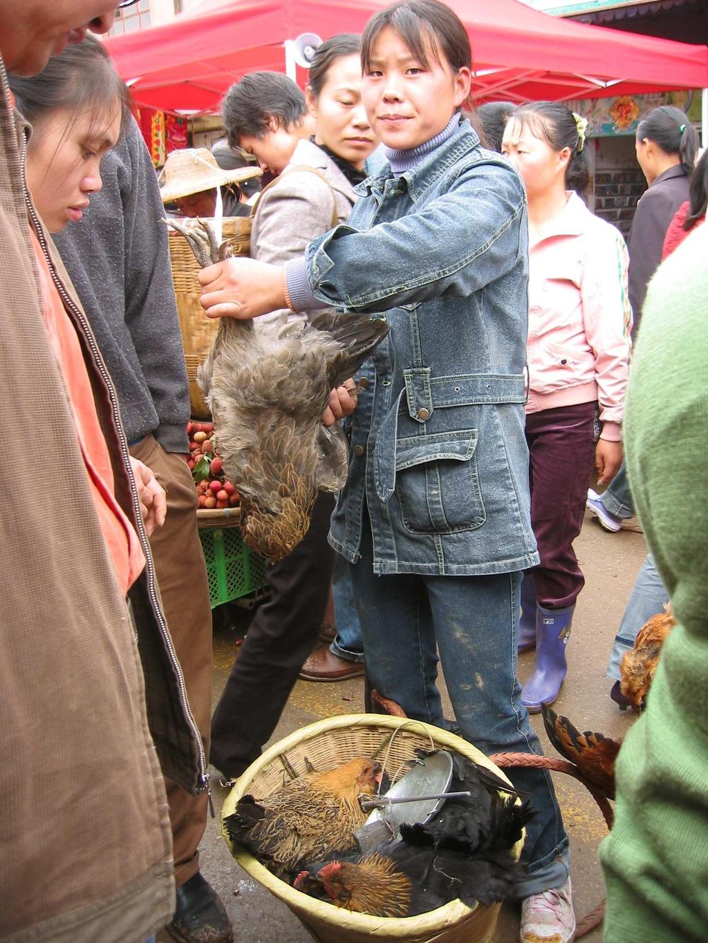 Chinese live bird market