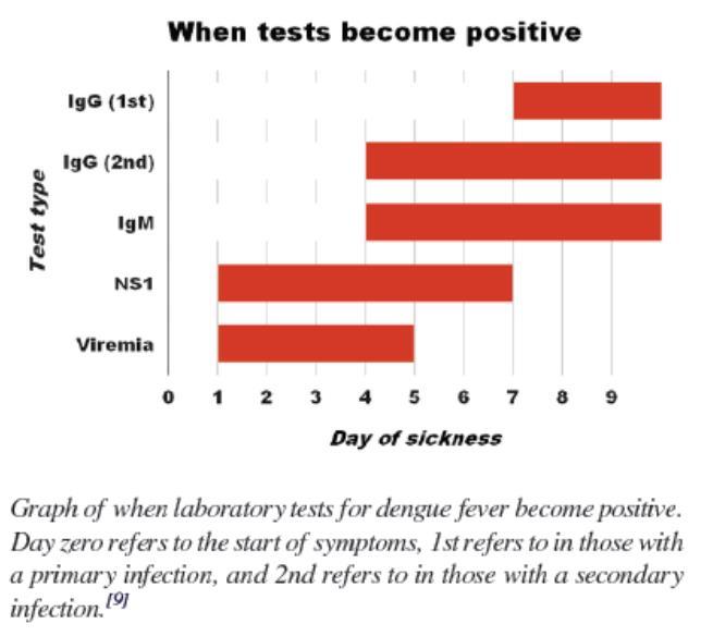 Laboratory tests Diagnosis confirmed by microbiological laboratory testing - Virus isolation in cell cultures - Nucleic acid detection by PCR - Viral antigen detection (such as