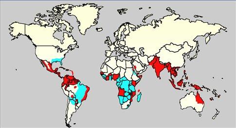 Dengue Fever is one of the fastest spreading (geographically) vector borne infectious