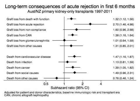 Long-Term Outcomes Following Acute Rejection in Kidney Transplant Recipients: An ANZDATA Analysis Analysis of the Australia and New Zealand Dialysis and Transplant (ANZDATA) Registry, including all