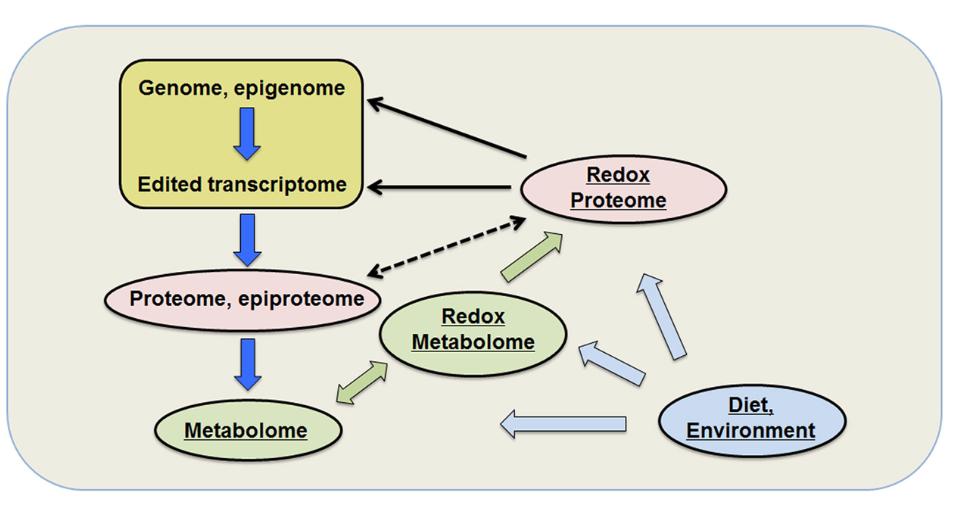 RedOx Proteomics Reversible modifications Cys, Met, Sec