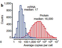 Proteome dynamic range and its implications Dynamic(range(of(mass(spectrometers( 9000# 8000# 7000# 5000# 6000# 4000# Number(of(detected( proteins( 3000# 2000# 1000# Sample!"!#"!##"!###"!####"!