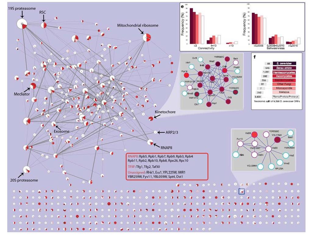 Interconnected complexes 4,562 tagged proteins 2,357 successful purifications Identified 4,087 interacting proteins ~72 % proteome Majority of the yeast