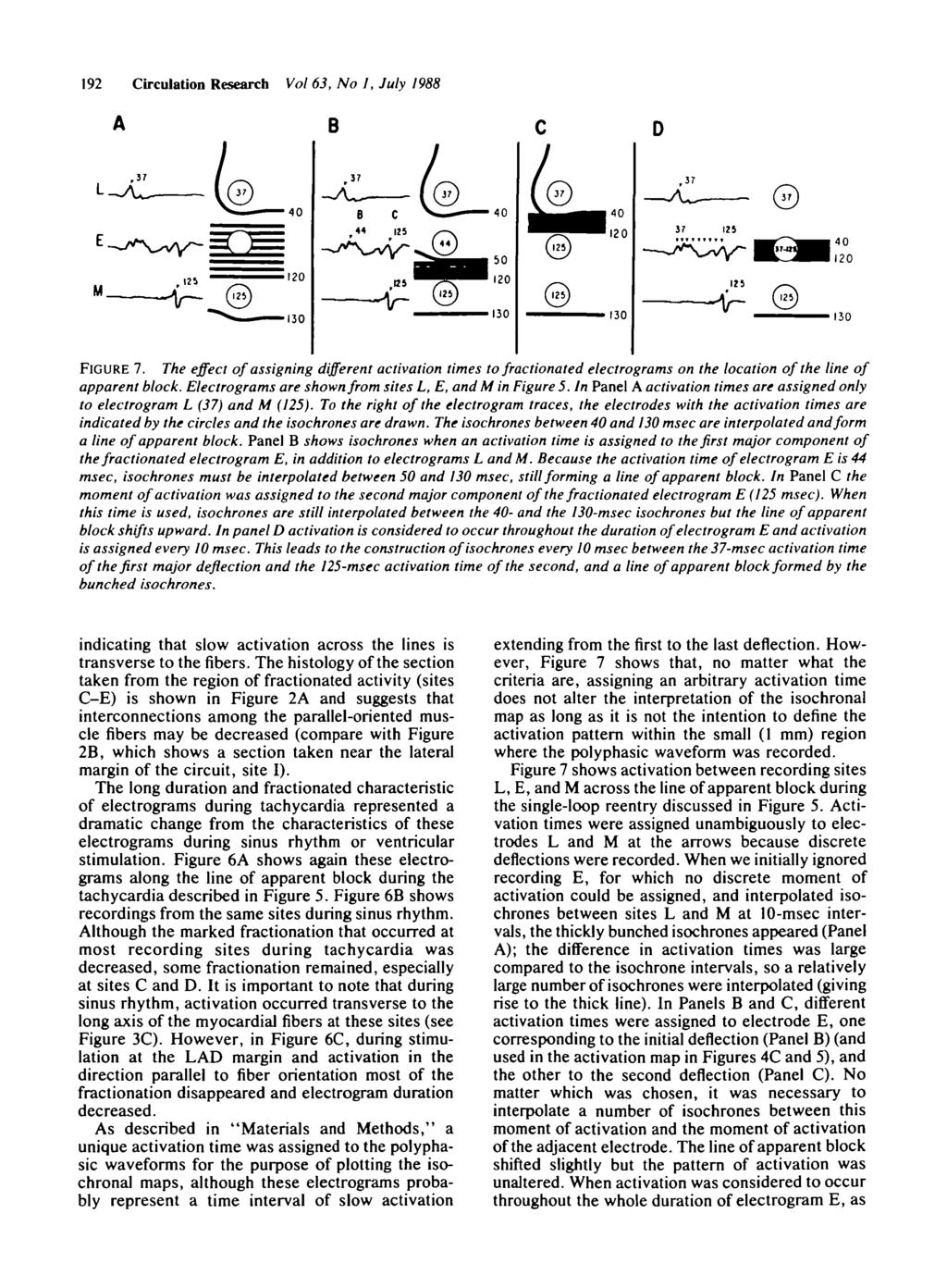 192 Circulation Research Vol 63, No I, July 1988 A B.37.37 ( _ 40 120 37 125 123 130 130 FIGURE 7.