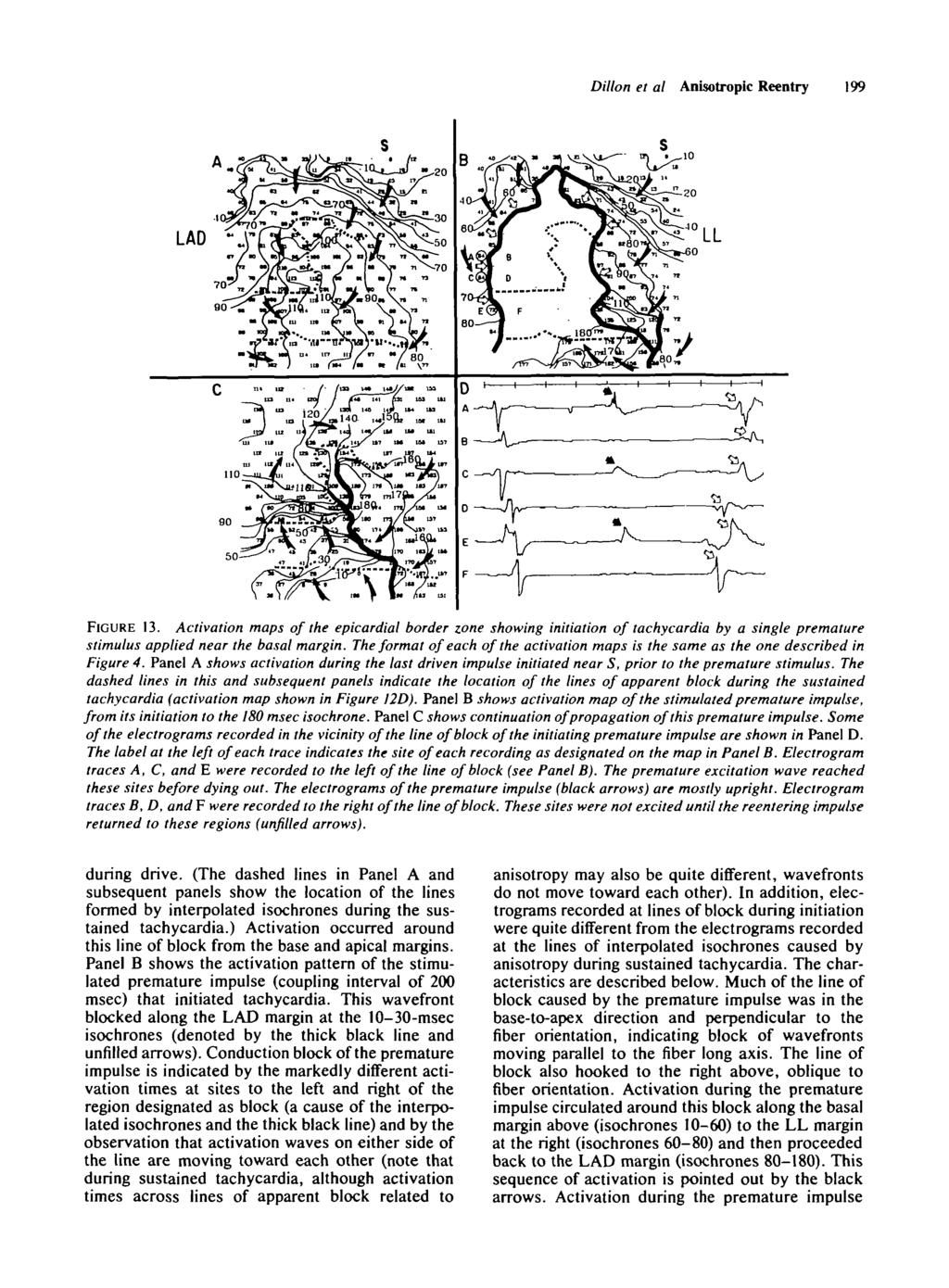 Dillon et al Anisotropic Reentry 199 20 FIGURE 13. Activation maps of the epicardial border zone showing initiation of tachycardia by a single premature stimulus applied near the basal margin.