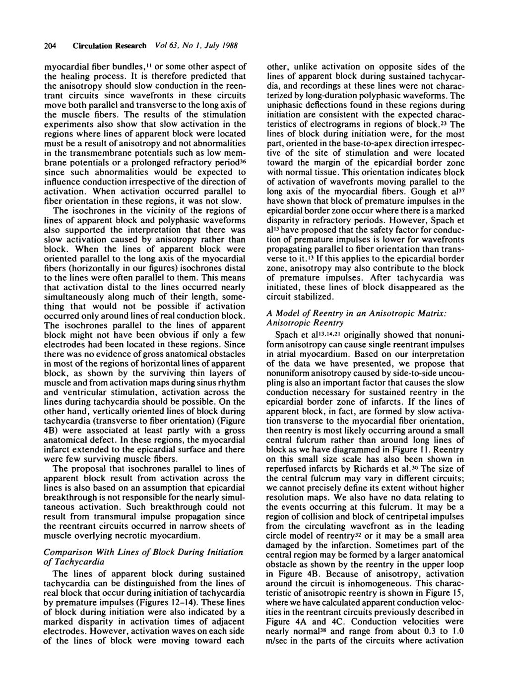 204 Circulation Research Vol 63, No I, July 1988 myocardial fiber bundles," or some other aspect of the healing process.