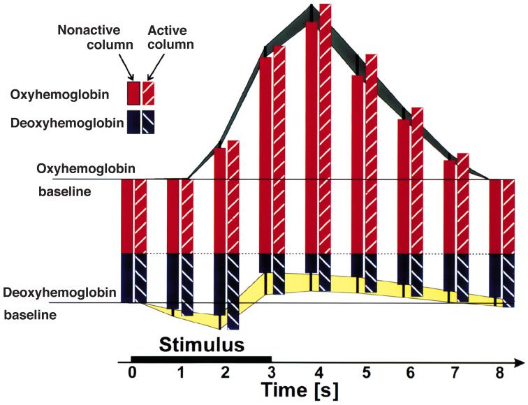14 FUNCTIONAL MRI AT HIGH FIELDS: PRACTICE AND UTILITY Figure 14 Deoxy- and oxyhemoglobin response as a function of time during a brief period of visual stimulation in active and inactive columns in