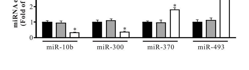 11 Online Figure IV PCA but not Cy-3-G reduces mir-10b expression in macrophages.