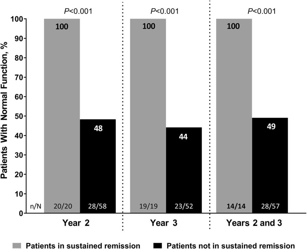 van der Heijde et al. Arthritis Research & Therapy (2018) 20:61 Page 11 of 13 Fig. 6 Patients in sustained remission achieving normal physical function at years 2 and 3.