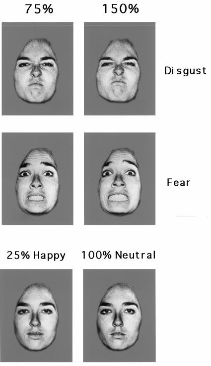 Activation upon Perception of Disgust Faces from a standard set were computer-transformed, to create two levels of intensity of expressed fear and disgust.