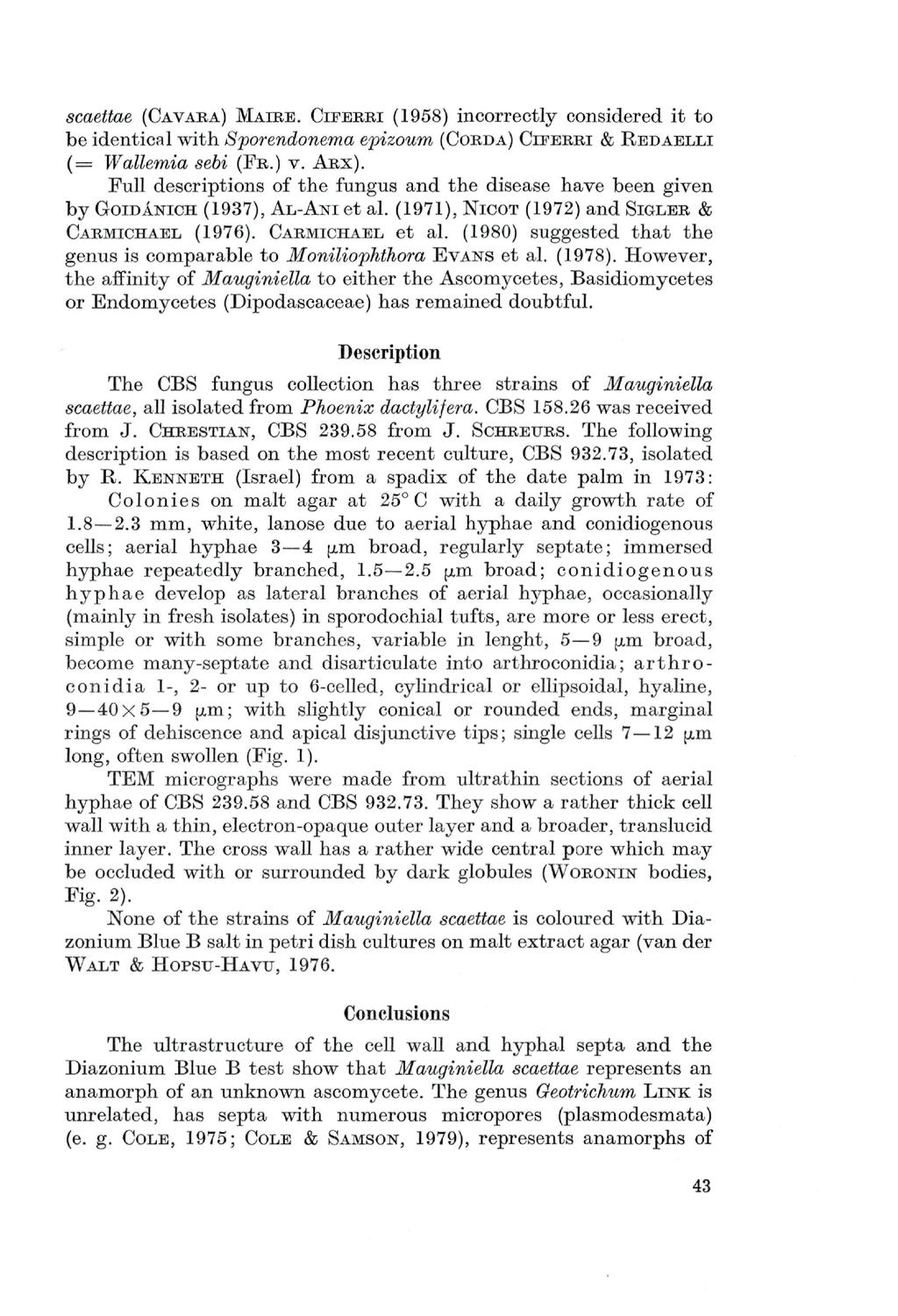 scaettae (CAVARA) MAIRE. CIFERRI (1958) incorrectly considered it to be identical with Sporendonema epizoum (COEDA) CIFEEBI & REDAELLI (= Wallemia sebi (FR.) V. AEX).
