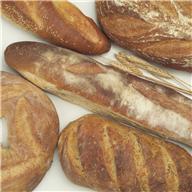 Grains: Breads Sliced bread contains whole grains (white with whole grains or whole wheat with at least 2.