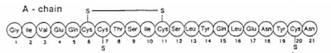 Disulphide linkages can occur in two cysteine molecules that are apart in a polypeptide