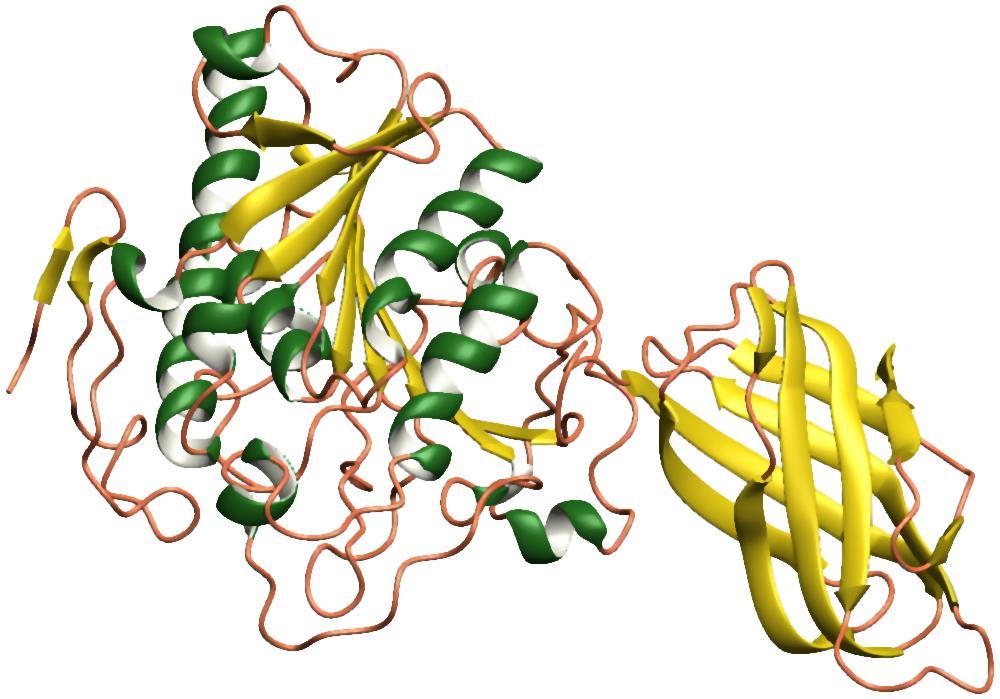 D. THE 3D STRUCTURE OF A TERTIARY STRUCTURE PROTEIN.