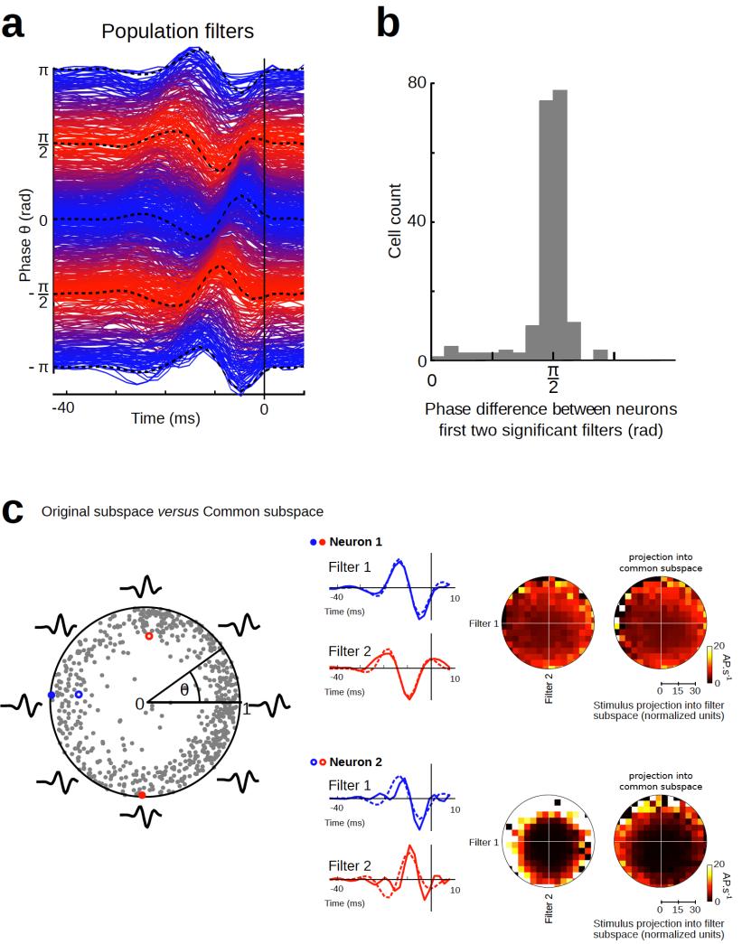 Supplementary Figure 4. Filter properties across neuronal population with significant sensory responses.