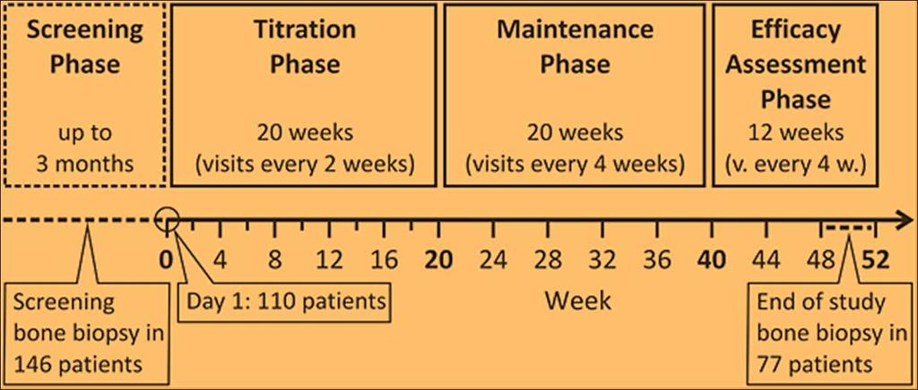 Study design and treatment schema 146 adult dialysis patients with plasma PTH (PTH) 300 pg/ml, serum calcium 8.